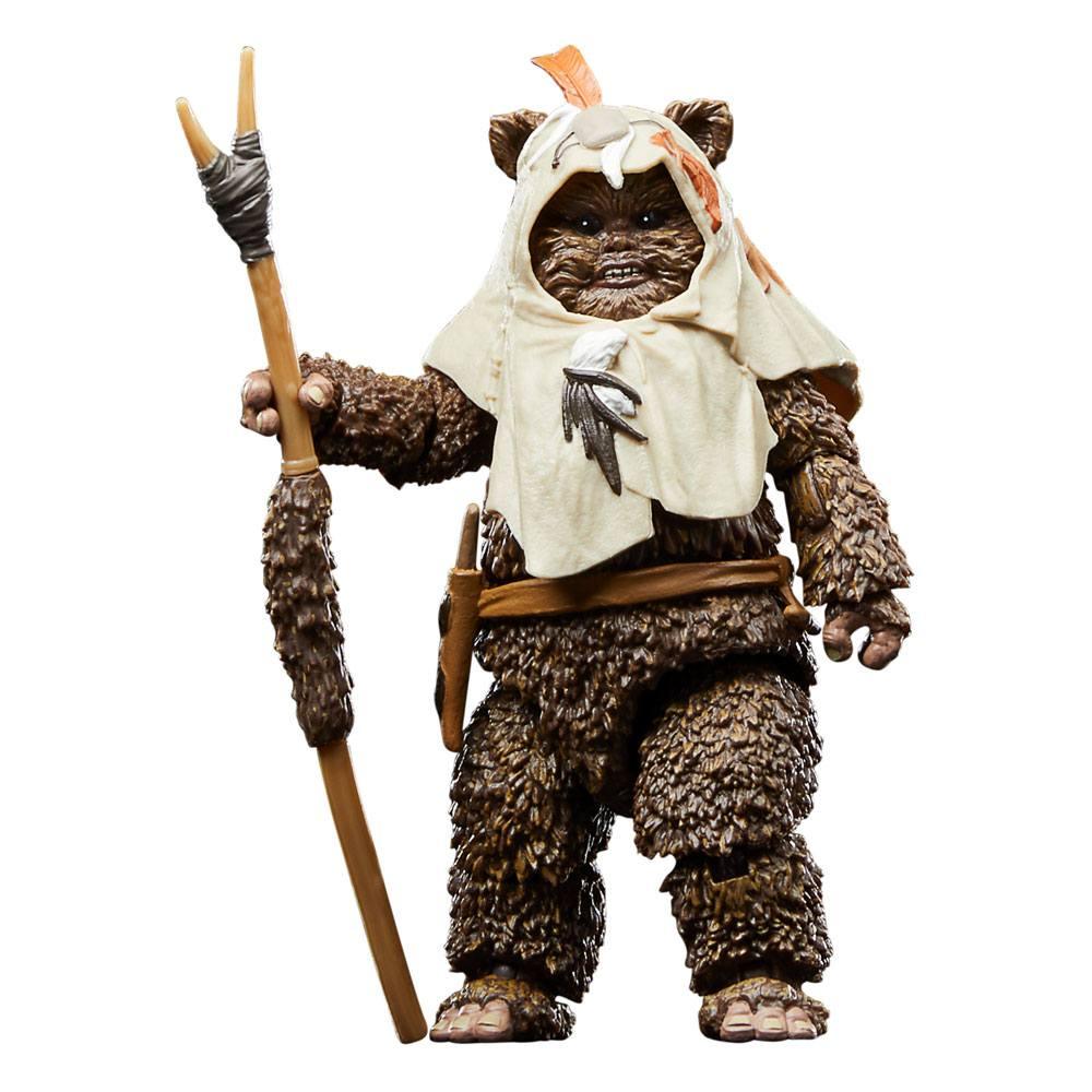 Star Wars Episode VI 40th Anniversary Black Series Action Figure Paploo 15 cm - Toys - Hasbro